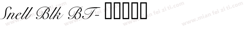 Snell Blk BT字体转换